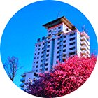 公开信息按发布时间滚动